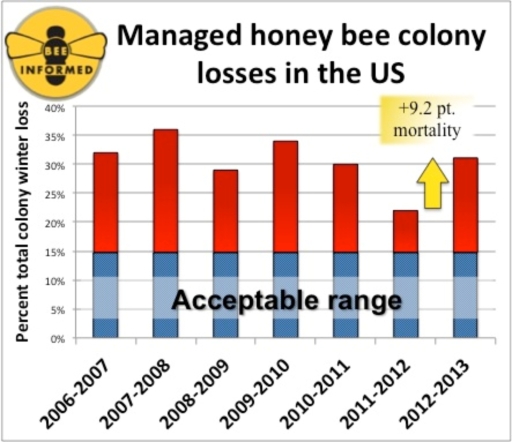 perdida colonia de abejas 2012-2013