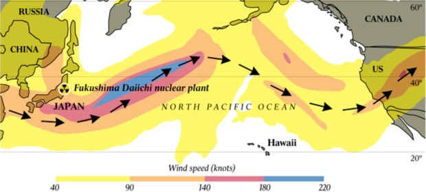 El mayor tifón que haya alcanzado Japón en 10 años amenaza la central de Fukushima   - Página 2 Fukushima-radioactiva-mn21