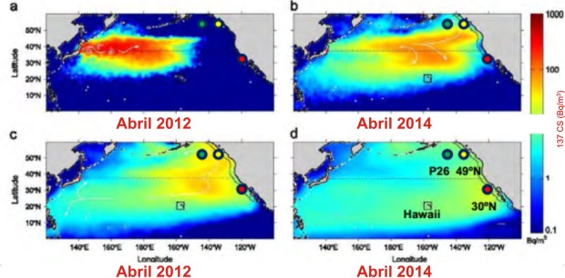 Distribución de las aguas superficiales de Fukushima Vincent Rossi  Indaadores wp